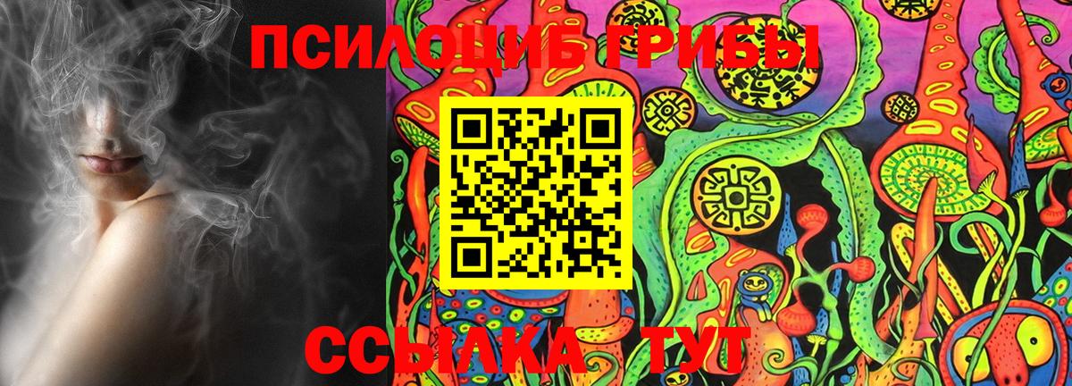 Псилоцибиновые грибы MAGIC MUSHROOMS Тверь